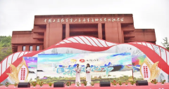 2021首届中国桑植白茶文化节开幕