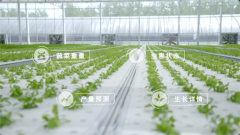 旺链科技：用区块链技术构筑农业溯源的护城河