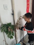 传端午习俗，承清廉家风——马路口小学端午节主题活动