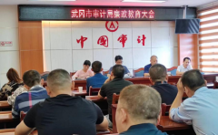 湖南省武冈市审计局：廉洁从政 “严”之有道