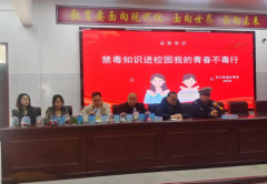 筑牢青春防线 守护平安成长 ——衡南县车江中学开展安全知识教育主题讲座