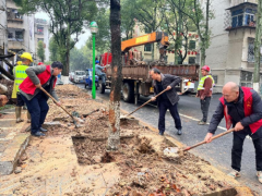 南岳城管：挥锹植绿正当时，共筑南岳生态城