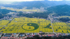 周末5万人嗨翻了这个3A景区 衡阳县库宗桥镇万亩油菜花海邀您赴约