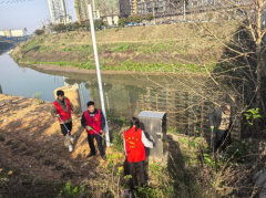 金龙坪街道：开展清河净滩行动 守护辖区一江碧水