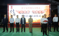 常宁：代表走进“夜市”，促中医药文化明珠璀璨绽放