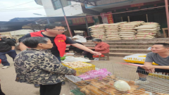 衡南县柞市镇：深入开展“清明将至，文明祭祀”护林防火宣传志愿服务活动