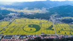 金华山下花为媒 库宗桥头人潮涌 衡阳县库宗桥镇交出一份出色的“春日经济”答卷