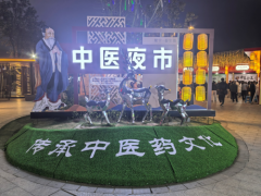 促传承薪火生生不息，共迎中医药事业发展美好春天 ——2025年常宁市中医夜市“春生篇”回顾