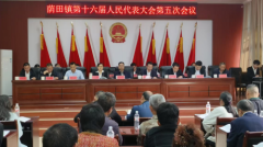 凝心聚力绘蓝图，砥砺奋进谱新篇 ——荫田镇第十六届人民代表大会第五次会议胜利召开