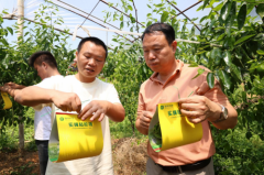 衡山：发放实蝇粘胶板 绿色防控技术让农业更环保更高效