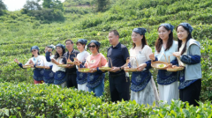 茶香税韵 青春同行——祁东县税务局走进 茶叶产业基地开展税收宣传活动