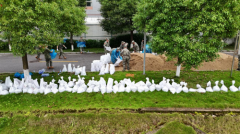 暴雨突袭！衡山县紧急启动防汛应急工作
