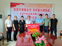 党建共建聚合力 乡村振兴谋新篇 平安产险“乡风文明100行动”赴 衡阳县库宗桥镇建坪村开展捐赠活动
