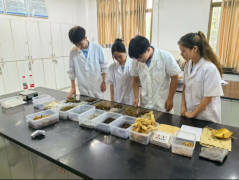 三微联导·肤安智愈——AI赋能中西医融合创面修复开拓者