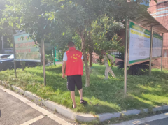 衡南县柞市镇：灭蚊防病即刻行动！