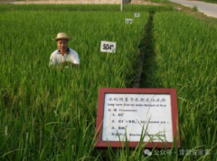 坚守红壤40载，情系“三农”为人民 ——中国农业科学院红壤实验站研究员 高菊生