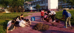 劳动·新声·育魂——大塘中学师生携手交出亮眼“开学答卷”