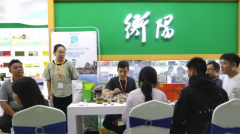 衡山茶亮相第十七届湖南茶叶博览会