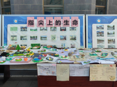 以实践之笔绘生物之美，用创新活力燃育人新篇