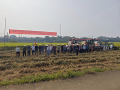 湘潭市2025年水稻机收减损现场演示活动成功举办