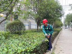 衡南城管践行“企呼我应” ,以高效服务擦亮营商环境“金招牌”