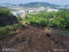 毁林面积2600平方米，罚款仅1623元！东莞林业局对国家级森林公园生态破坏处理结果引争议