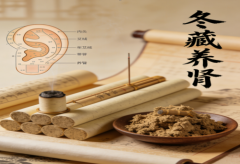 衡中医奇技馆 ｜千苇管灸：暖阳入耳护肾元