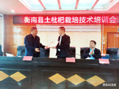 土枇杷如何高产？衡南手把手教