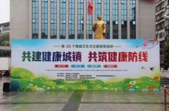 衡阳县开展第38个爱国卫生月主题宣传活动