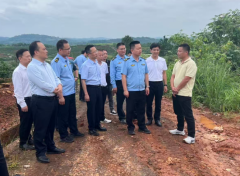 漆建平赴衡南督导调研生态环境信访舆情处置工作