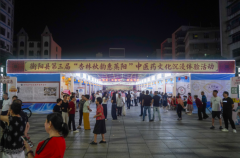 杏林秋韵惠蒸阳！衡阳县第三届中医药文化沉浸体验活动火热启幕